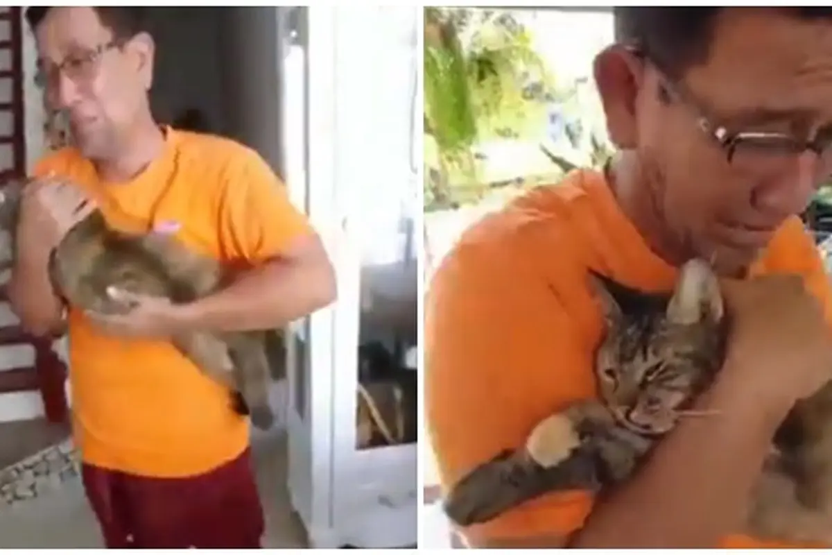 6 Tahun Bersama, Viral Video Seorang Ayah Menangis Terisak saat Kucingnya Mati
