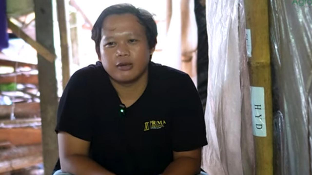Sering Dikomplain Warga, Anak Muda Lulusan SMP Sukses Budidaya Jamur Merang