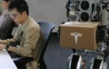 Kerja di Tesla Kini Tak Hanya Mimpi, Ikuti Tips Ini Biar Lolos Jadi Karyawan