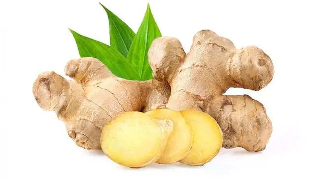 Cara Ampuh Menghilangkan Bau Amis dan Sisa Darah pada Daging Sapi