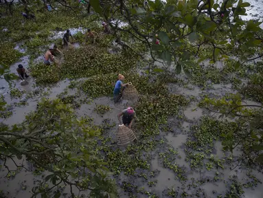 Penduduk desa berpartisipasi dalam komunitas memancing sebagai bagian dari perayaan Bhogali Bihu di desa Panbari, sekitar 50 km timur Gauhati, India, Kamis (13/1/2022). "Bhogali Bihu" menandai berakhirnya musim panen di timur laut negara bagian Assam. (AP Photo/Anupam Nath)