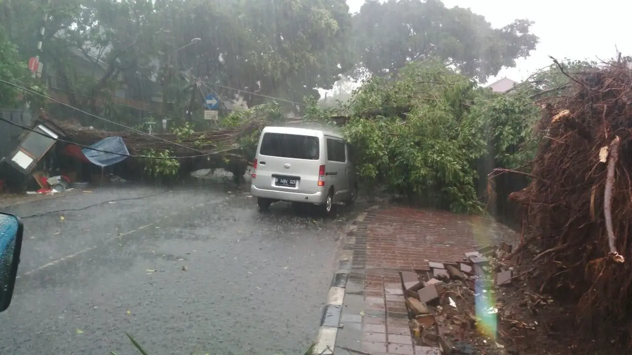 Pohon tumbang di jalan Bendi Besar, Kebayoran Lama, Jakarta Selatan.