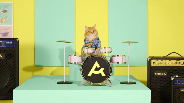 Ketika 3 Kucing Imut Beraksi dalam Kampanye Belanja