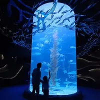 Keseruan di Aquarium Jakarta