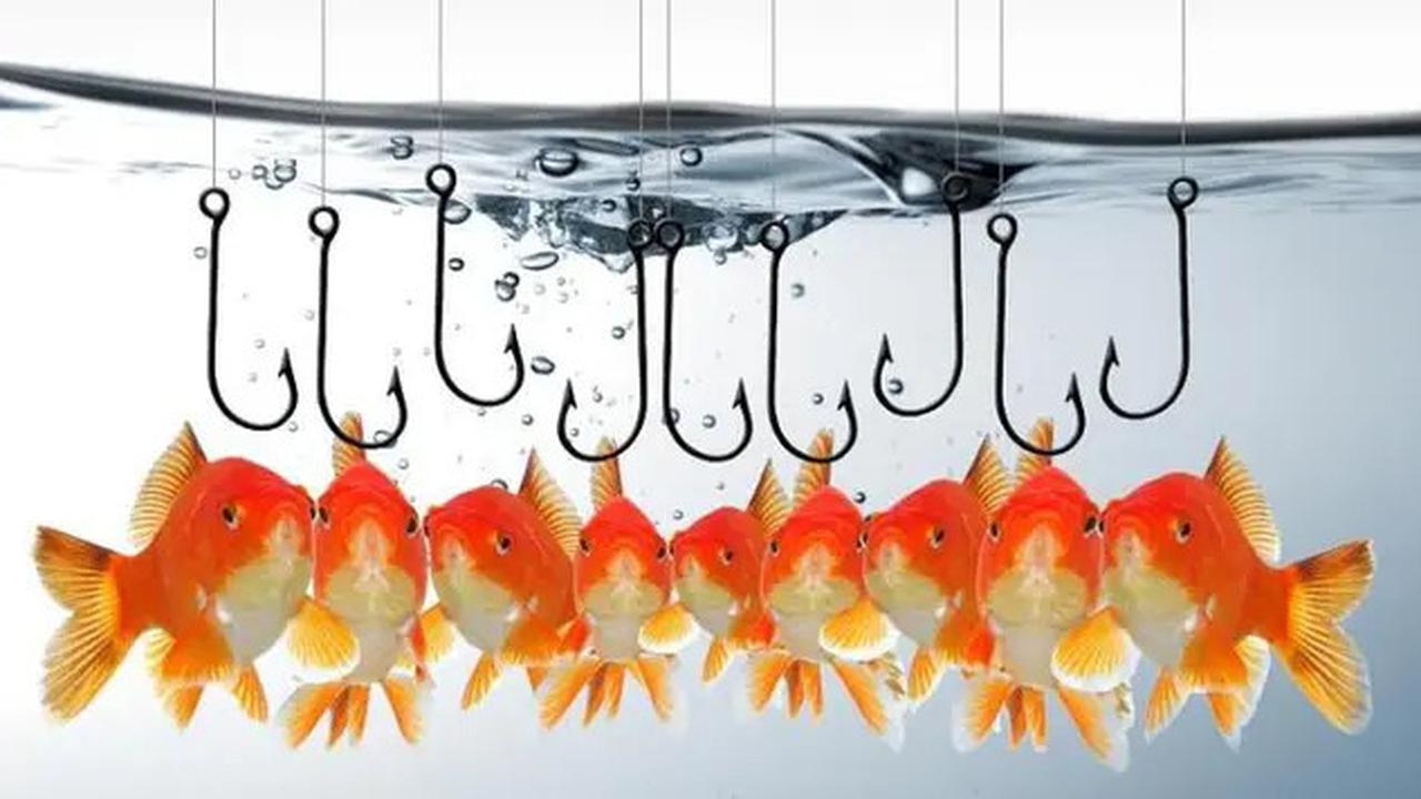 900 Juta Upaya Phishing Ancam Pengguna Internet Dunia Sepanjang 2024