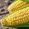 Cara Memilih Jagung Manis Terbaik (AI)
