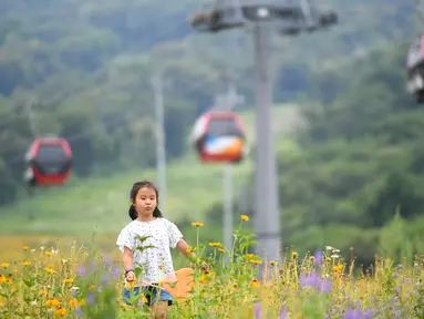 Seorang anak bermain di ladang bunga yang ada di sebuah kawasan resor di Kota Jilin, Provinsi Jilin, China, 19 Juli 2020. Arena ski di kawasan resor itu diubah menjadi ladang bunga, seluncuran dan beragam proyek pariwisata rekreasi lainnya guna menarik wisatawan pada musim panas. (Xinhua/Yan Linyun)