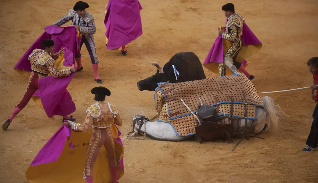 Para Matador berusaha menghalau banteng yang menanduk seekor kuda Picador pada laga  Corpus bullfighting festival di Granada, Spanyol, (27/5/2016). AFP/Jorge Guerrero)