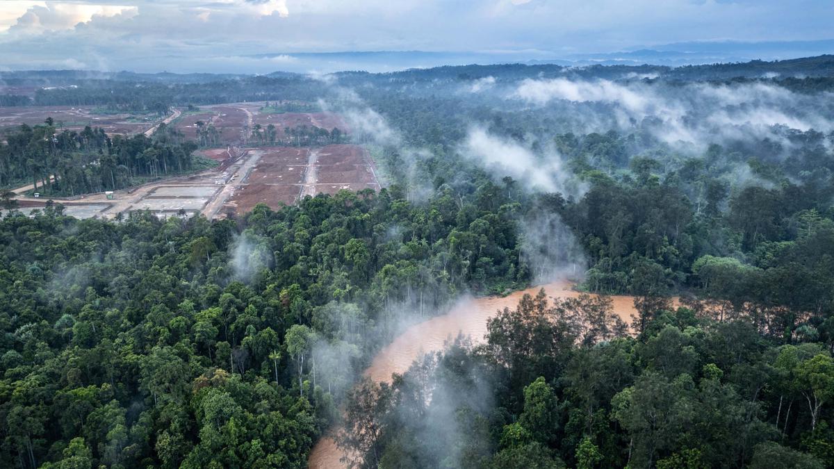 Penghentian Sementara Tambang Nikel Raja Ampat Diacungi Jempol DPR - Bisnis  Liputan6.com