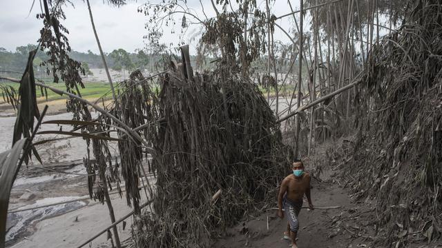 Gunung Semeru Erupsi, Lahan Pertanian di Lumajang Tertutup Debu