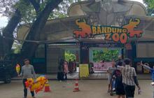 Karyawan Bandung Zoo Gelar Aksi Damai, Desak Kementan Segera Turun Tangan