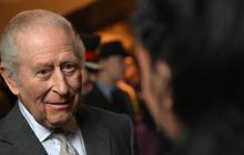 Raja Charles Buka Suara Usai Didesk Korban Epstein, Polisi Diizinkan Usut Mantan Pangeran Andrew