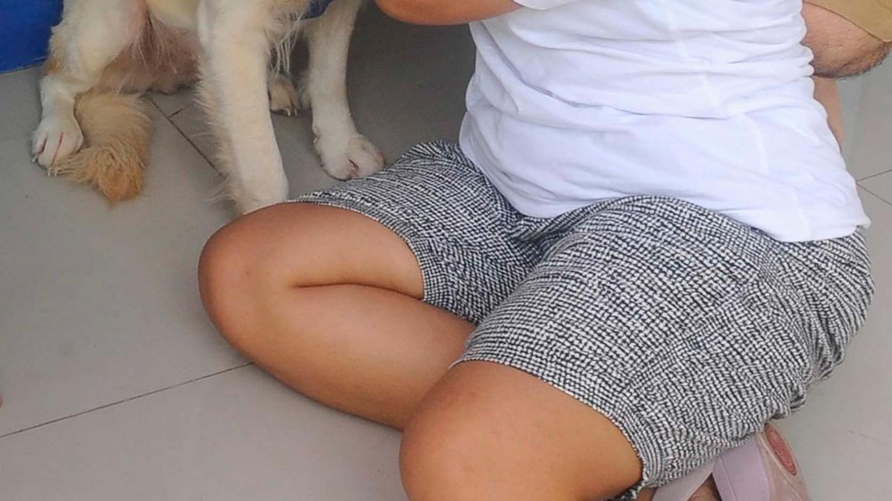 FOTO: Wujudkan Indonesia Bebas Rabies 2030, Anjing dan Kucing di Depok Divaksin Massal