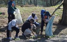 Bupati Bantul Imbau Wisatawan Stop Buang Sampah Plastik Pantai, Sedotan Paling Lama Terurai!