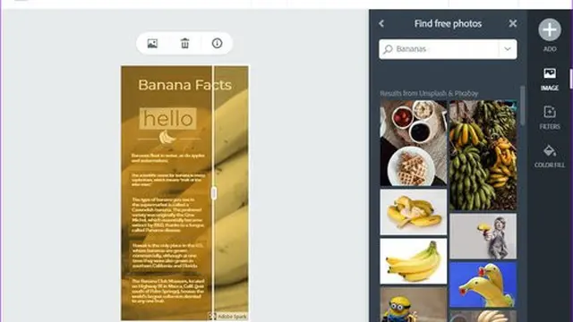 Adobe Spark