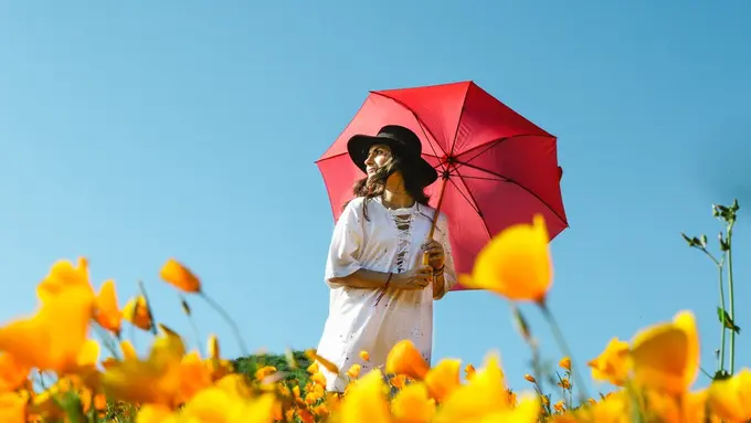 Kenapa Bisa Ada Orang yang CLBK sama Mantan, ya?