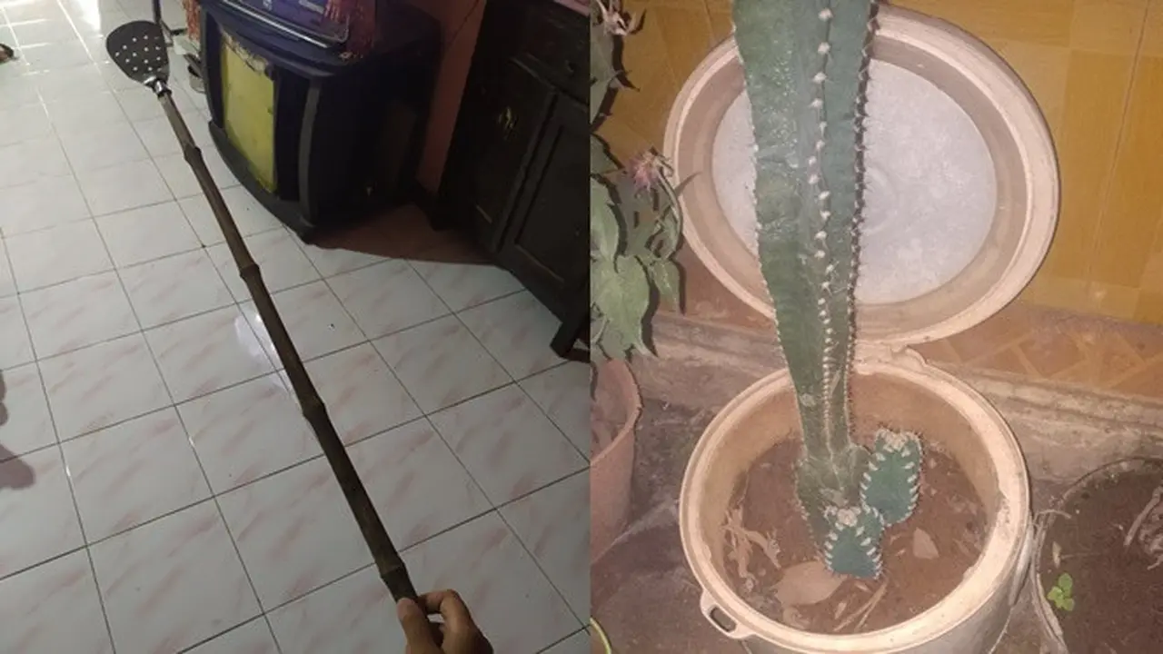 Terlalu Kreatif, Ini 6 Potret Barang Nyeleneh di Rumah
