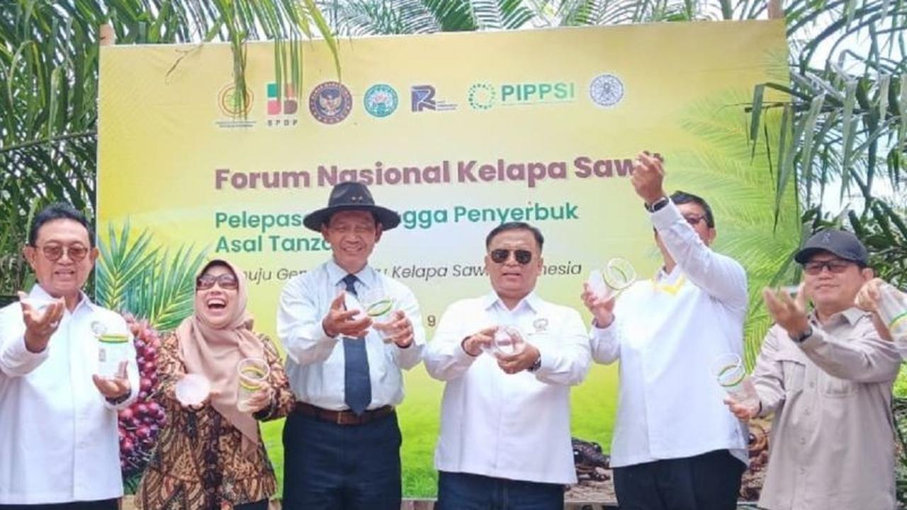 Kementan dan Gapki Perkenalkan Serangga Penyerbuk Kelapa Sawit Baru Tingkatkan Produktivitas