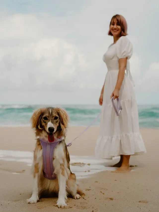 3. Libra – Romantis dan Elegan