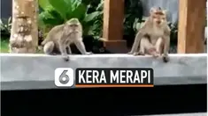 kera thumbnail