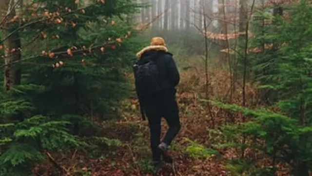 Ilustrasi walking trip