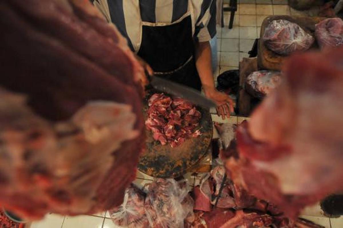 Harga daging sapi masih normal 