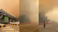 Viral Kabut Asap Kebakaran Hutan Selimuti Tol Lampung