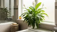 4 Tanaman Hias yang Serap Kelembapan di Kamar Mandi, Strategi Cegah Ular Masuk