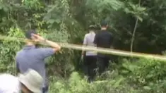 liputan6