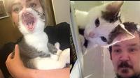 6 Ilusi Optik Kucing dengan Manusia Ini Bikin Kucek Mata, Harus Teliti (IG/catloversclub)