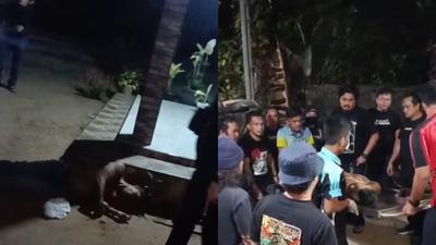 Pelarian Buronan di Lampung Berakhir Tragis, Tewas Ditembak Polisi