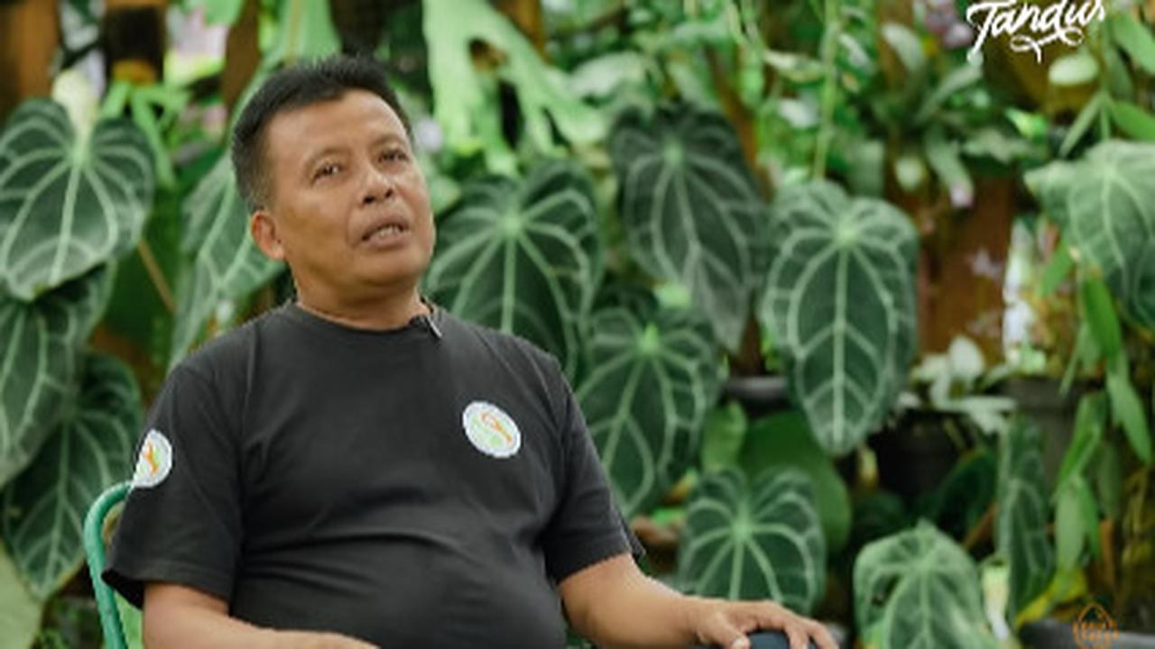 Jatuh Bangun Usai Resign Bekerja dari Kapal Pesiar, Kini Pria Ini Sukses Berkebun Buah