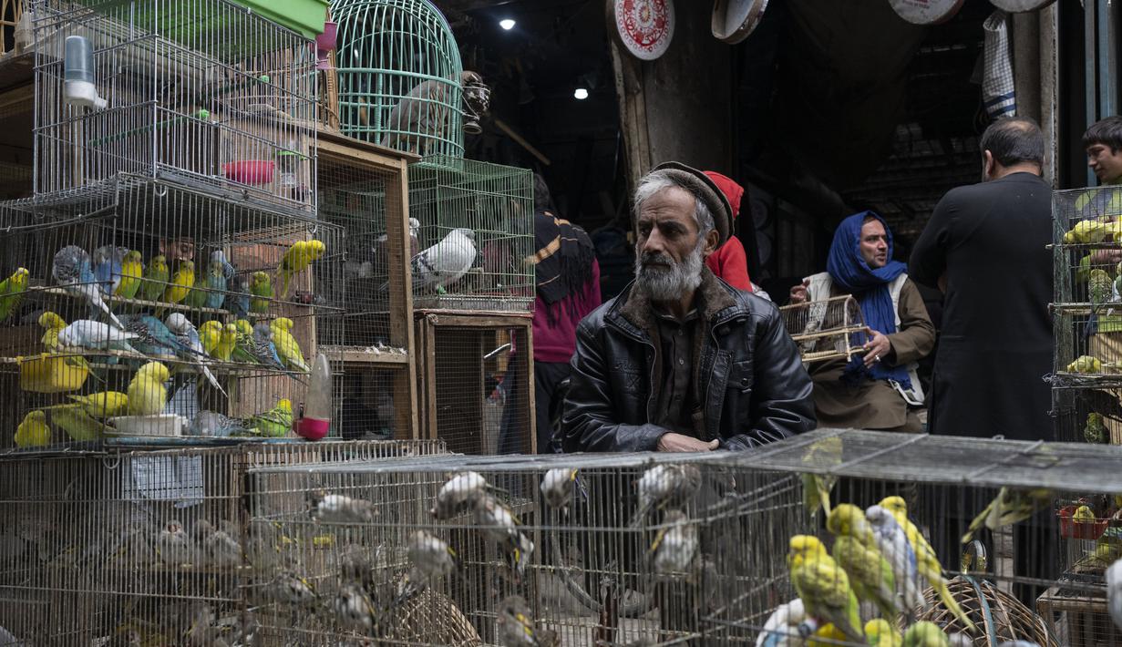 Penjual burung menunggu pelanggan di pasar burung di Kabul, Afghanistan, Selasa (16/11/2021). Pasar yang terletak di gang-gang sempit ini jadi tempat favorit bagi para pria Afghanistan untuk melepas stress. (AP Photo/Petros Giannakouris)