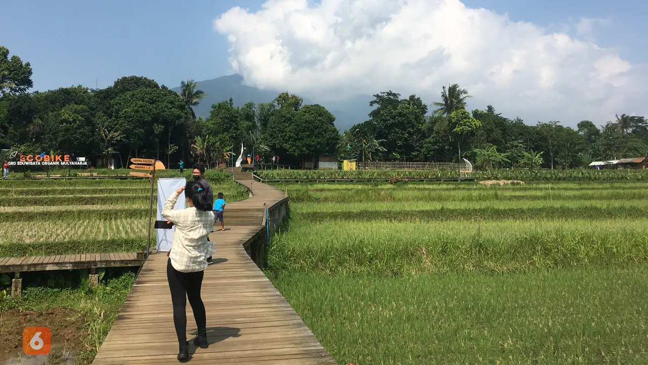 Desa Wisata Mulyaharja atau Agro Eduwisata Organik Mulyaharja
