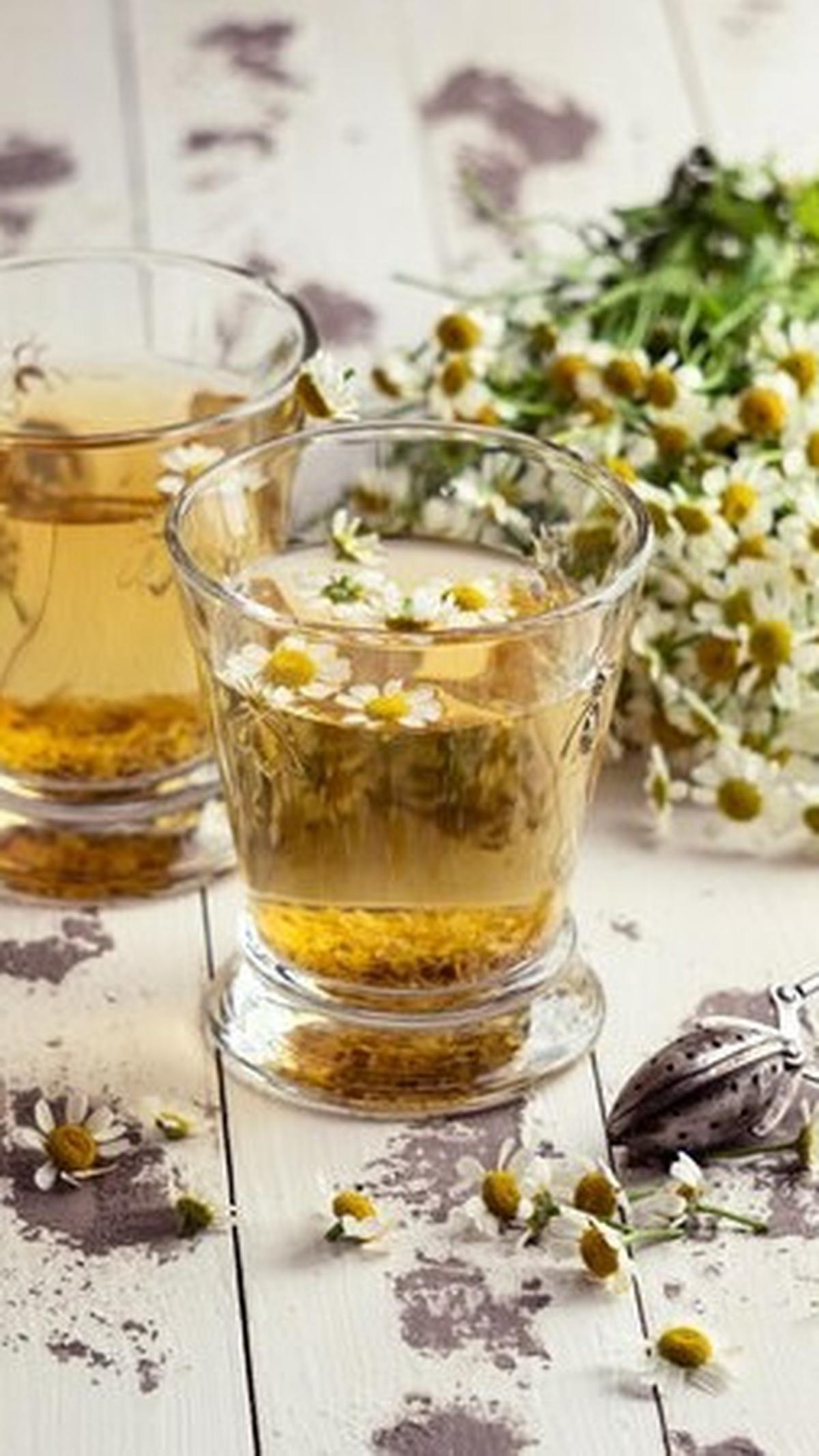 Namun, sebaiknya konsultasikan dengan profesional kesehatan sebelum menambahkan chamomile ke dalam rutinitas harian Anda, terutama jika Anda memiliki kondisi kesehatan tertentu.
