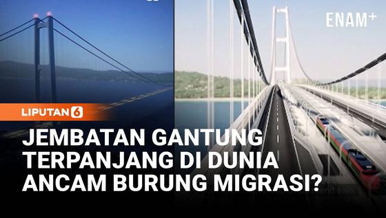 Rencana Jembatan Gantung Terpanjang Dunia Tuai Kontroversi, Ancam Cagar Burung