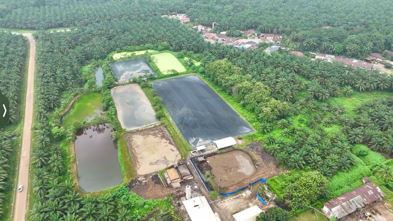 EBT Berbasis Limbah Kelapa Sawit Jadi Andalan PalmCo Pangkas Biaya Energi di Tengah Gejolak Global