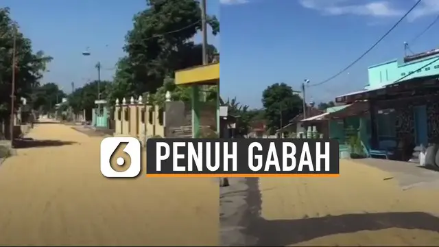 VIDEO: Duh, Pemotor Kesulitan Melintas Gara-Gara Gabah Penuhi Jalanan