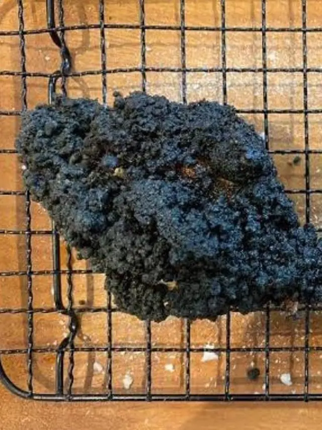 6 Momen Apes Masak Ayam Sampai Gosong Ini Bikin Enggak Napsu Makan