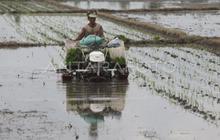 Pemkab Kotim Optimistis Tuntaskan 733 Hektare Proyek Cetak Sawah dalam Tiga Bulan
