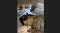 cuplikan video kucing Aslan saat memijat Anies Baswedan. (Istimewa)