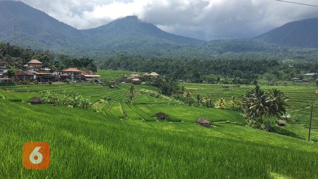 Desa Wisata Jatiluwih