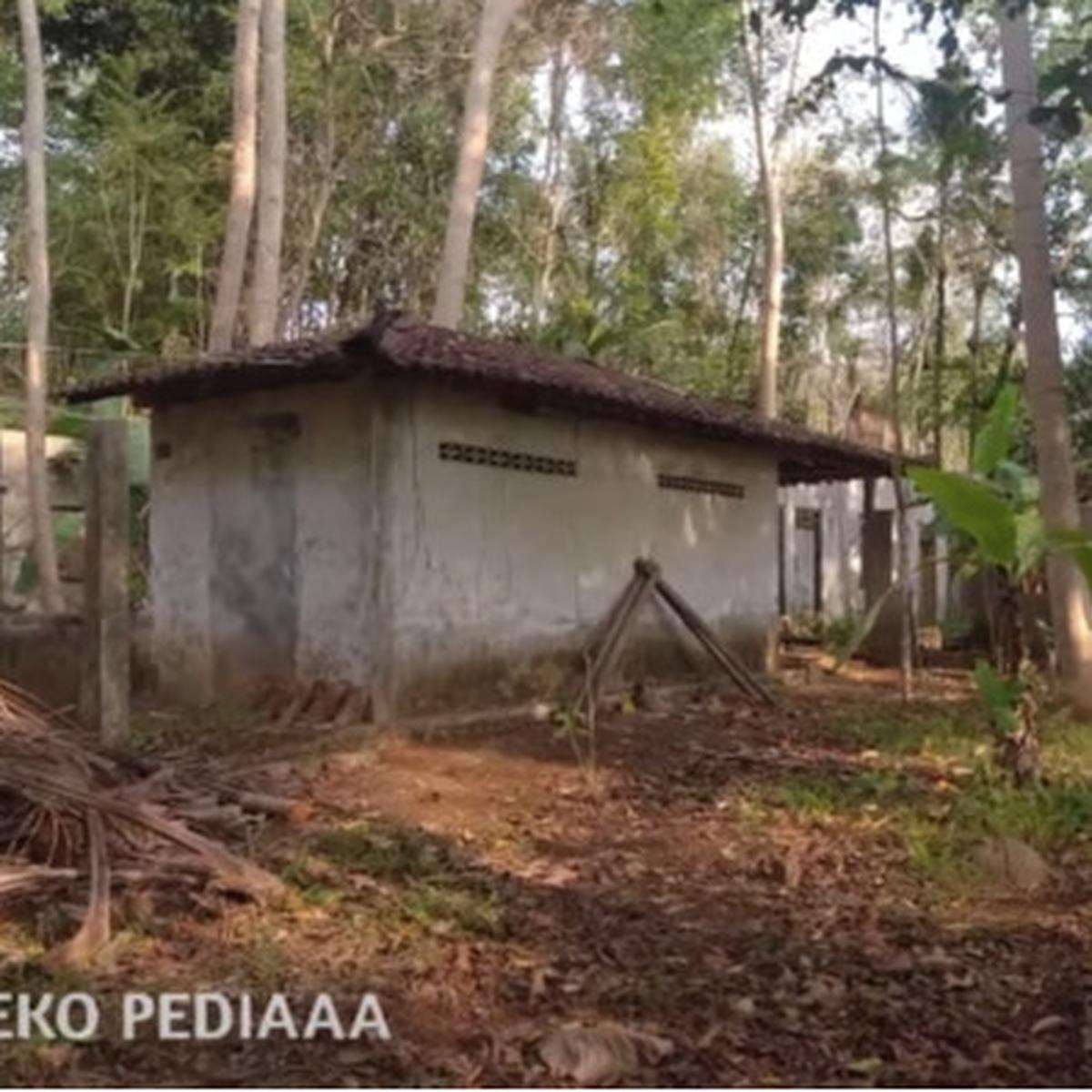 hutan jati pki