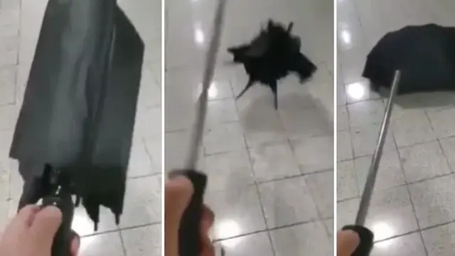 Kisah Pria Beli Tenda Super Murah, Barang yang Datang Malah Zonk