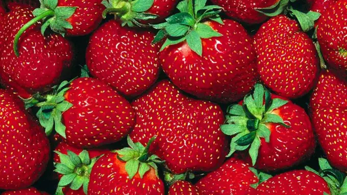 Cara Paling Simpel Hilangkan Daun Stroberi Tanpa Pisau