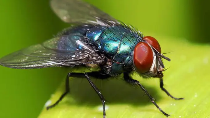 Copyright: thinkstockphotos.com