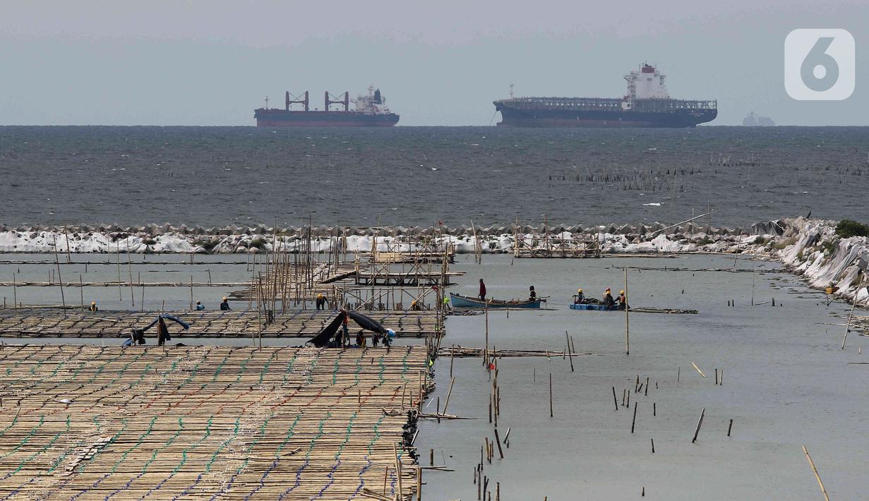 Tampak tanah milik PT Pelabuhan Indonesia (Persero) atau Pelindo yang akan digunakan sebagai lokasi relokasi Depo Pertamina Plumpang terletak di NPCT 2, Koja, Jakarta Utara, Selasa (7/3/2023). Tanah seluas 23 hektare ini akan menjadi lokasi relokasi Depo Pertamina Plumpang yang direncanakan selesai Desember 2024. (Liputan6.com/Herman Zakharia)