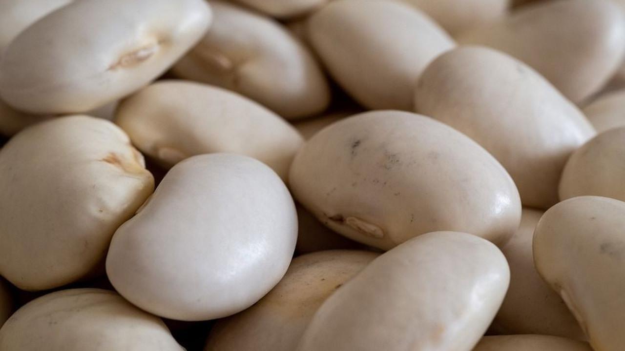Manfaat Kacang Lima