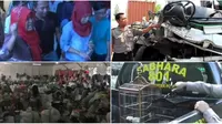 CPNS Serbu Kantor Bupati - Pengungsi Sinabung yang Terlupakan