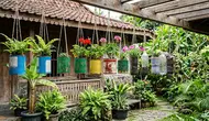 10 Ide Pot Tanaman Gantung dari Barang Bekas yang Mudah Dibuat, Hemat Biaya
